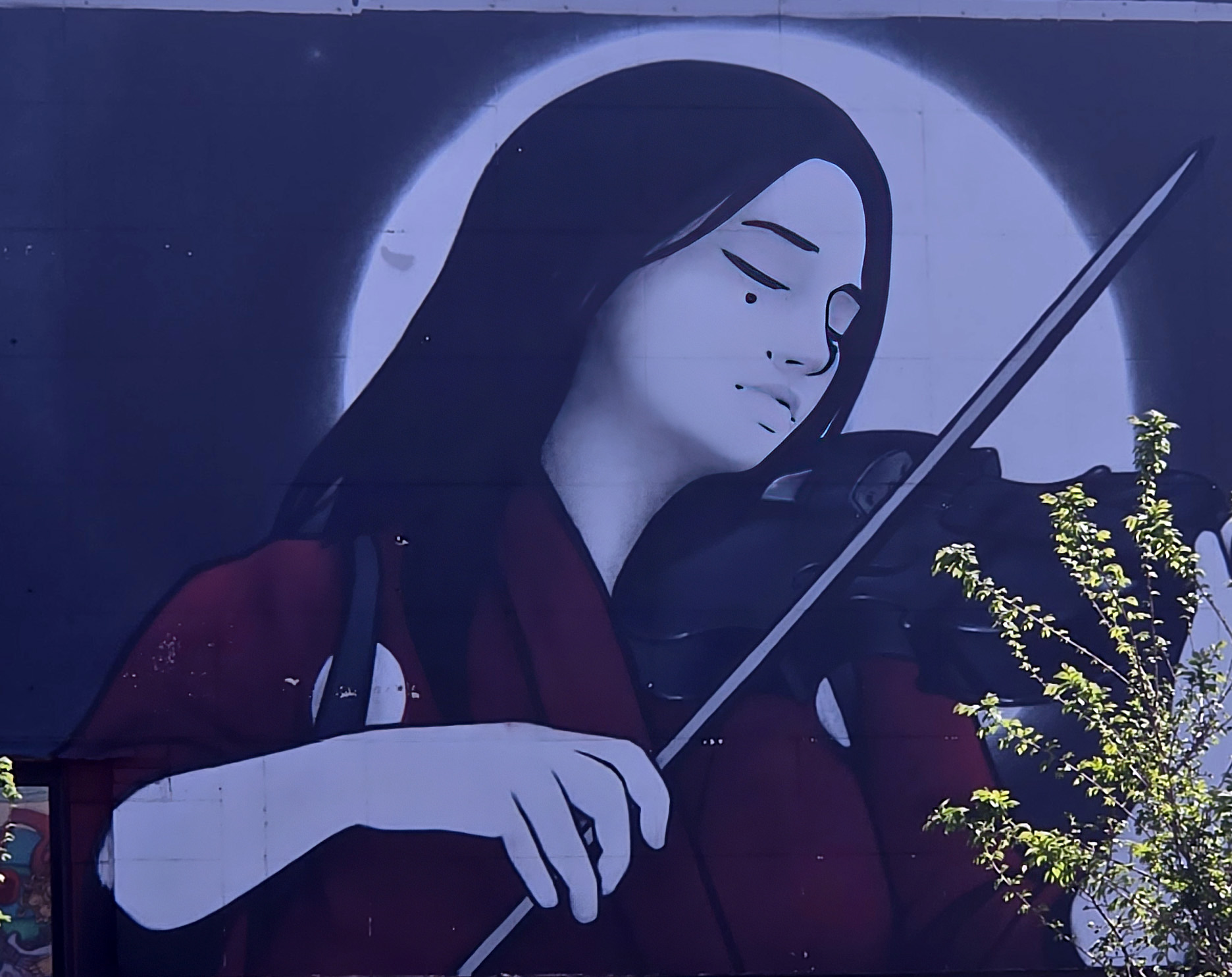 Asian Violinist