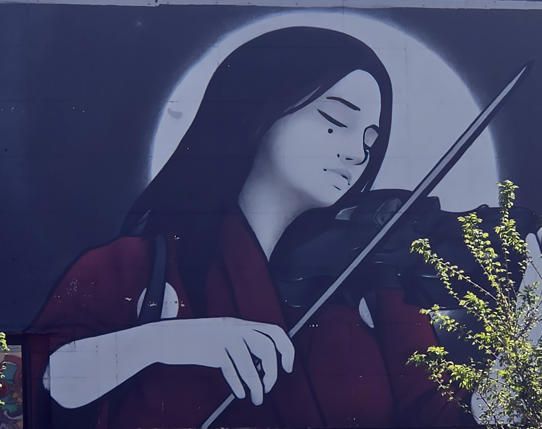 Asian Violinist
